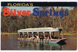 Florida Postcard Silver Springs Glass Bottom Boats Hand Feeding Fish - $2.96