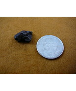 (x262-69) 5 g Campo del Cielo iron meteorite 1576 shrapnel fragment spec... - $19.73 CAD