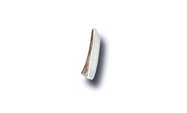Antler Dog Chew Medium - $22.14