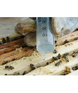 300g Oxalic acid crystals, high purity &gt;99.5% - Varroa, Beekeeping, Beehive - £13.21 GBP
