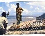 Roasting Fish on the Beach in Mexico Postcard - $9.90