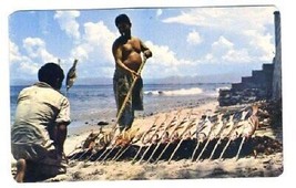 Roasting Fish on the Beach in Mexico Postcard - £7.78 GBP