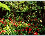 Red Anthuriums Flowers Blossoming Hawaii HI UNP Chrome Postcard K4 - £3.07 GBP