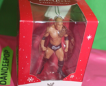 Carlton Heirloom WWE The Rock Wrestler Christmas Holiday Ornament 2014 120F - $24.74