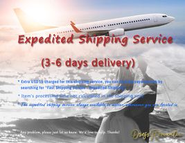 Fast Shipping Service - Expedited Shipping (Worldwide)  -Custom Additional Cost image 1