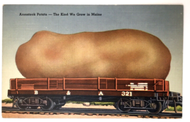 Aroostook Potato The Kind We Grow in Maine Exaggeration Train Car Vtg Linen PC - $7.00