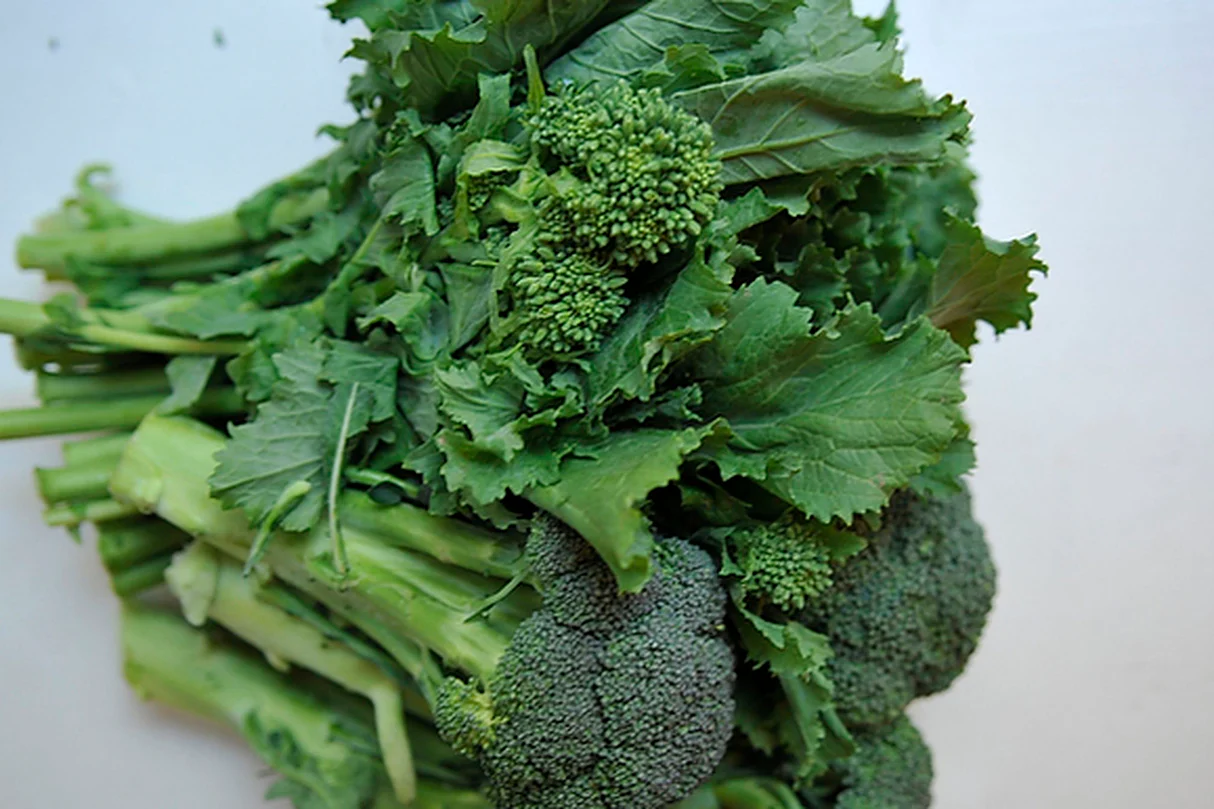 3000 Broccoli Raab Seeds (Rabe, Rapini) – Heirloom Brassica Variety - $8.38
