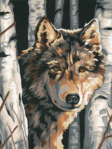 Paint Works Paint By Number Kit 9&quot;X12&quot;-Wolf Among Birches - £15.93 GBP