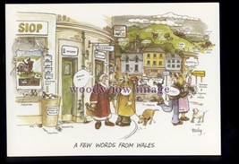 BES123 - A Few Words from Wales - Welsh Lesson - comic postcard by Besley - £1.50 GBP