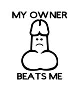 My Owner Beats Me Adult Humour Vinyl Decal, Peen Jokes, Alt Life Fetish ... - $6.99+