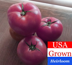 Beefsteak Tomato Seeds : NON-GMO : True Heirloom  from the 1800s! - £4.46 GBP