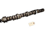 Camshaft From 2006 Jeep Grand Cherokee  5.7 53021731AD - $149.95