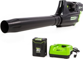 The Gbl80300 From Greenworks Pro Is An 80V (125 Mph/500 Cfm) Cordless Axial Leaf - £217.03 GBP