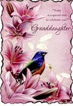 Today Is A Special Time To Celebrate You  - Birthday Greeting Card - 06396 - $51.41 MXN