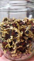 Dried Coreopsis Tinctoria Incredible Swirl Dried Flower Natural Dye 20gr... - £10.11 GBP