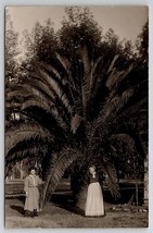 RPPC Huge Date Palm Tree on Walnut St Victorian Ladies with Cat Postcard H27 - £23.56 GBP