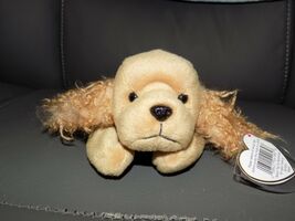 TY 1997 Beanie Baby Spunky the Cocker Spaniel Retired Rare NEW - $67.50