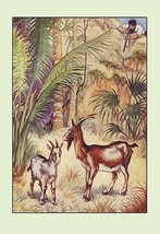 Robinson Crusoe: Having No Victuals to Eat, I Killed a She-Goat by Milo Winter - - £17.42 GBP+