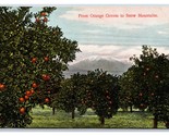Arance E Montagne Stato Vista California Ca Agriculture Unp DB Cartolina... - £2.38 GBP