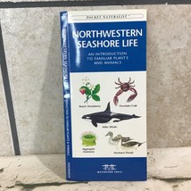 Northwestern Seashore Life: A Folding Pocket Guide to Familiar Plants &amp; Animals - £6.30 GBP