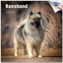 Keeshond Wall Calendar 2024 Animal Dog Pet Lover Gift - £19.77 GBP