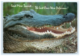Vintage Gator Send More Tourist Humor Funny Postcard - $5.95