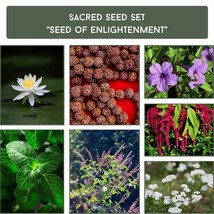 Sacred Seed Set - &quot;Seed of Enlightenment&quot; Spiritual Meditation Kit, Unique Mindf - £23.18 GBP