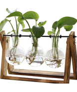Glass Desktop Planter Bulb Vase Wooden Stand Hydroponic Plant Container ... - £27.25 GBP