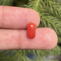Natural Coral Gemstone, Oval Shape Coral, Gift For Her, Jewelry Making G... - $9.99