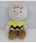 2013 Kohl&#39;s Cares Peanuts Charlie Brown 14&quot; Plush - $13.56 CAD
