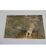 UNUSED-Cherry Blossoms at Mt. Ali - Taiwan 4x6 Postcard - $11.26