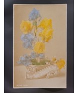 Alpine Irises Silver Print Gelatine Color RPPC AG Taylor Reality Series ... - £22.29 GBP