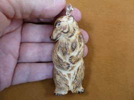 (j-bear-50) brown white Polar Bear standing PENDANT aceh bovine bone carving - £20.73 GBP