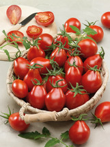 30 RED PEAR TOMATO VEGETABLE SEEDS FOR GARDEN - $7.00