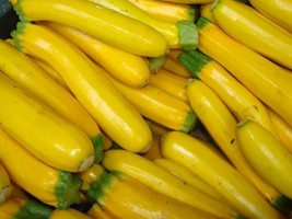 Grow In US Squash Seeds Golden Zucchini 25 Ct Summer Vegetable Non-Gmo - £6.95 GBP