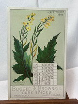 Anitque Bugbee &amp; Brownell Pure Spices Trade Card Mustard September 1886 ... - £23.75 GBP