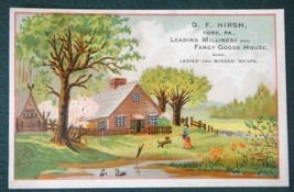 Antique Victorian Advertising Trade Card D.F.Hirsh York Pa Millinery,Fancy Goods - £33.63 GBP