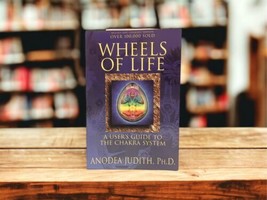 Wheels of Life: A User&#39;s Guide to the Chakra System [Llewellyn&#39;s New Age Series] - £13.92 GBP
