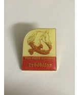 Youth Nationals 2001 Exhibitor Arabian Horse Association Metal Lapel Pin - $261.22 MXN