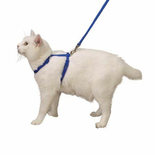 Nylon Adjustable Cat Harness Style and Safety In Blue For Walking or Grooming - $14.74
