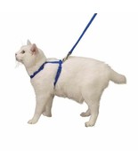 Nylon Adjustable Cat Harness Style and Safety In Blue For Walking or Gro... - £11.78 GBP