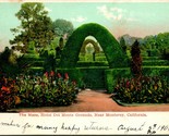 Vtg Postcard 1907 UDB Monterey California CA Hotel Del Monte The Maze  - $3.51