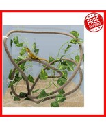Adjustable 8FT Reptile Vines &amp; Leaves with Suction Cups for Terrarium Decor - $444.51 MXN