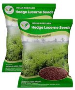 Hedge Lucerne-Velimasal-Desmanthus Fodder 2 Kg Multicut for Fodder Cult ... - $311.36
