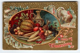 Thanksgiving Greetings Postcard Embossed Turkey Fruit Snow Village Holiday 1910 - £5.14 GBP