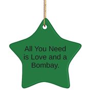 All You Need is Love and a Bombay. Bombay Cat Star Ornament, Reusable Bombay Cat - $16.61