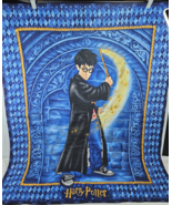 Vintage 2001 Harry Potter Double Sided Blanket Tapestry Quidditch Snitch... - $29.95