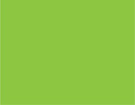 12&quot; x 100 ft Roll of Glossy Lime-Tree-Green Repositionable Adhesive-Back... - $1,329.68 MXN