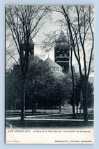 Università Di Michigan Biblioteca Ann Arbor Mi Raphael Cibo Unp Udb Postcard P13 - £9.05 GBP
