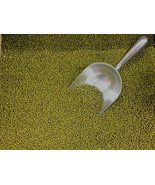 250 MUNG BEAN SEEDS Sprouting Micro Greens OR Plant Gardening  - $13.38